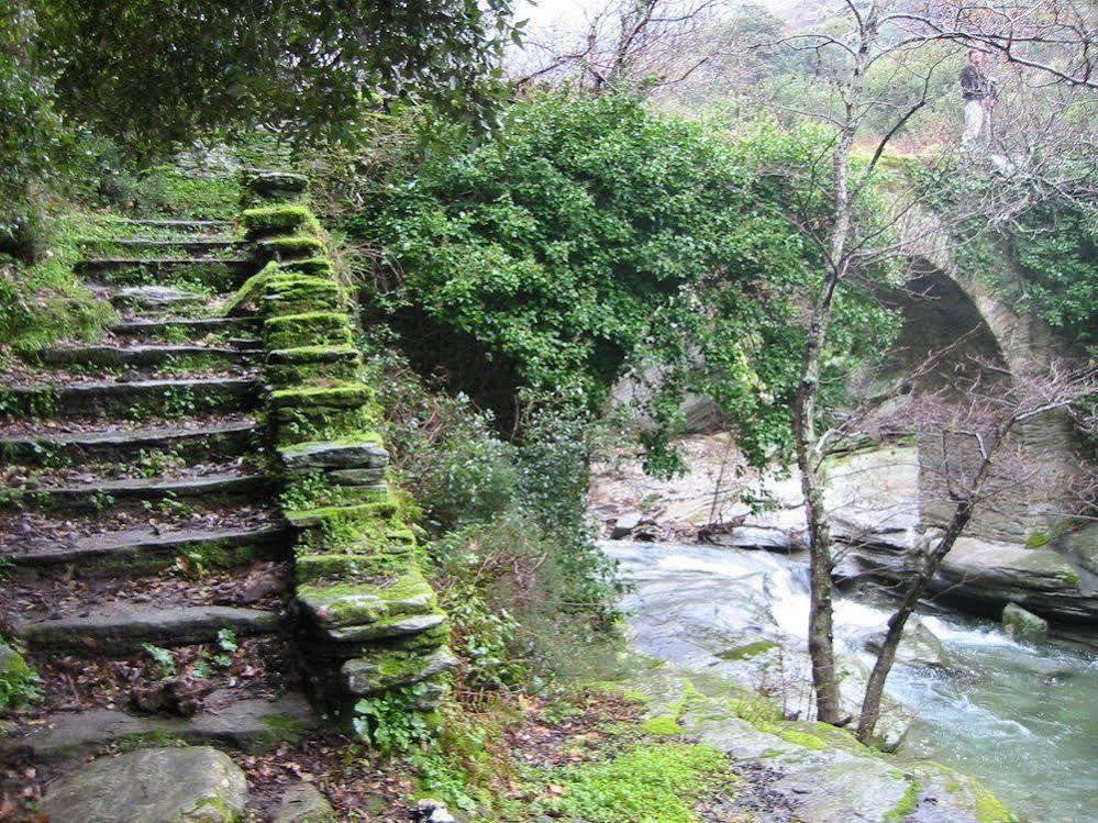Onar Andros Hotel Achla Bagian luar foto
